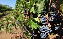 Screenshot 2025-04-15 115232