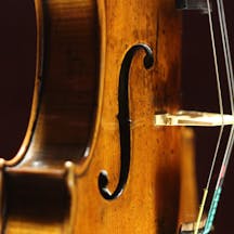 violin