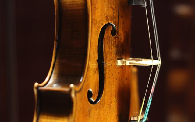 violin