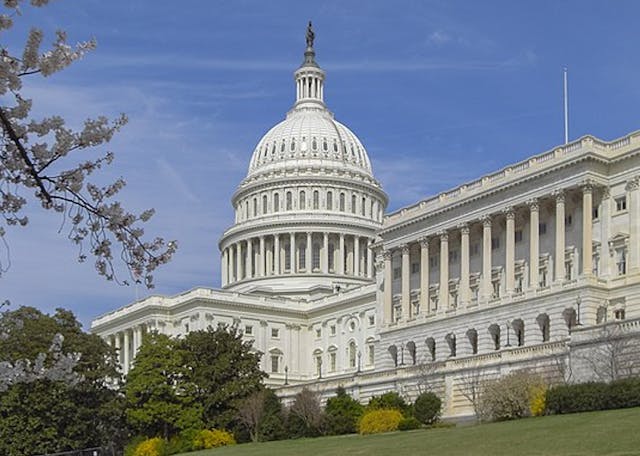 Screenshot 2025-01-20 095024