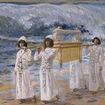 ark-sea