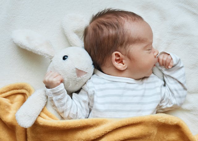 Screenshot 2025-01-17 084325