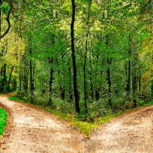 Two roads Two-roads