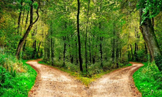 Two-roads