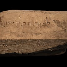 Trumpeting_place_Zeigarnik (1)