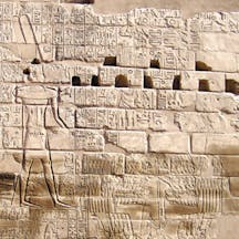 bible 365 #292 image