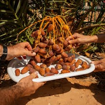 06israel-date-dispatch-mobileMasterAt3x