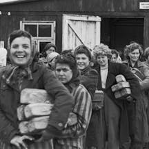 The_Liberation_of_Bergen-belsen_Concentration_Camp,_April_1945_BU4274