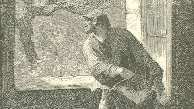 bible-365-178-image