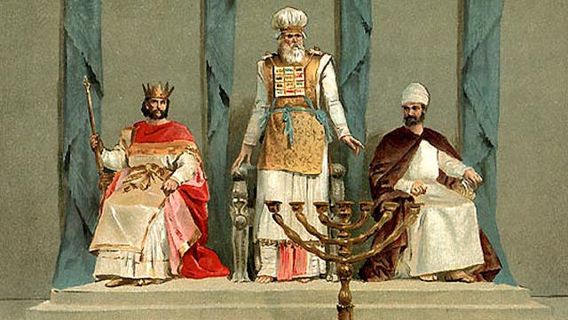 bible-365-175-image