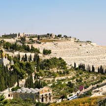 Gethsemane,,And,The,Church,Of,All,Nations,On,The,Mount