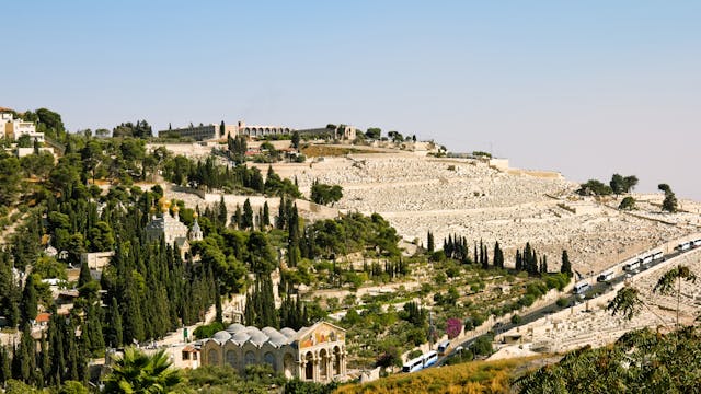 Gethsemane,,And,The,Church,Of,All,Nations,On,The,Mount