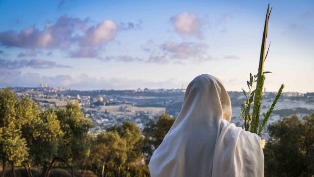 Succot,(feast,Of,Tabernacles),In,Jerusalem:,Jewish,Man,In,A