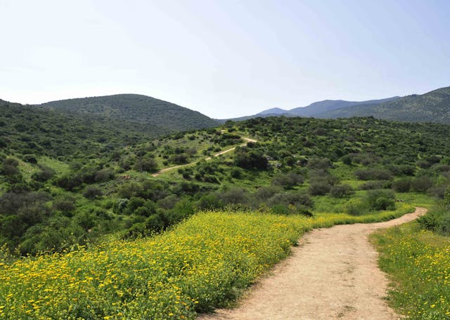 Scenic,Landscape,In,Upper,Galilee,,Israel.