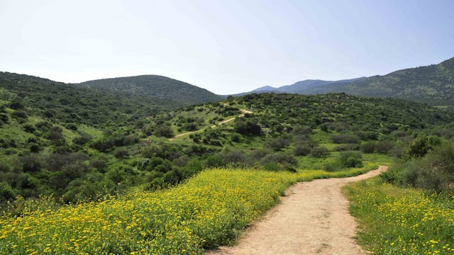 Scenic,Landscape,In,Upper,Galilee,,Israel.