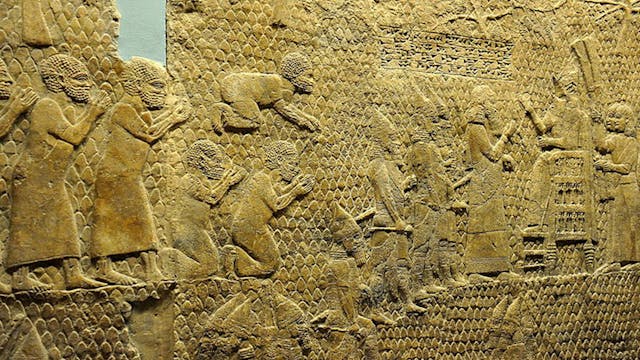 bible-365-116-image