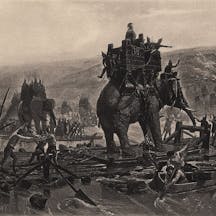 Elephants