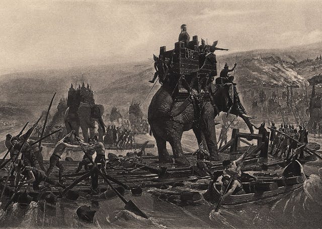 Elephants