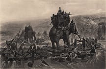 Elephants