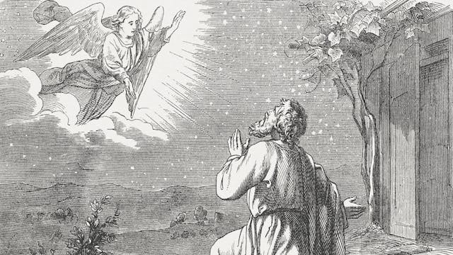 bible-365-5-image