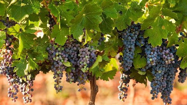 bible-365-124-image-1