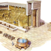bible-365-103-image