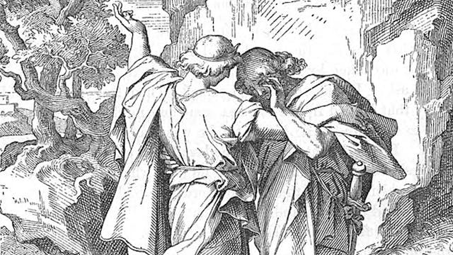 bible-365-87-image