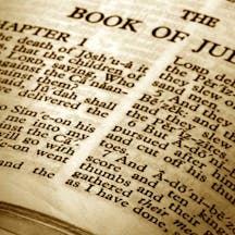 bible-365-75-image