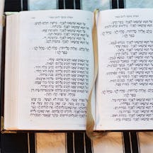 bible-365-59-image