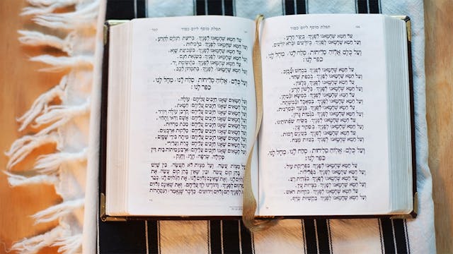 bible-365-59-image