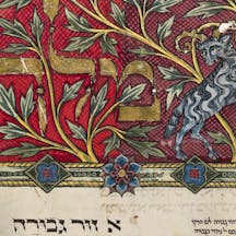 bible-365-55-image