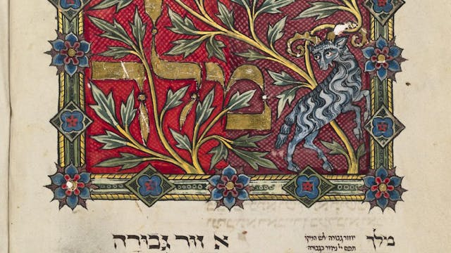 bible-365-55-image