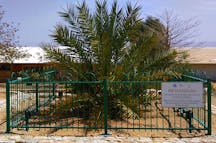 methuselah