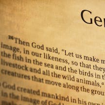 bible-365-1-image