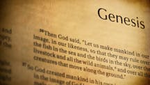 bible-365-1-image