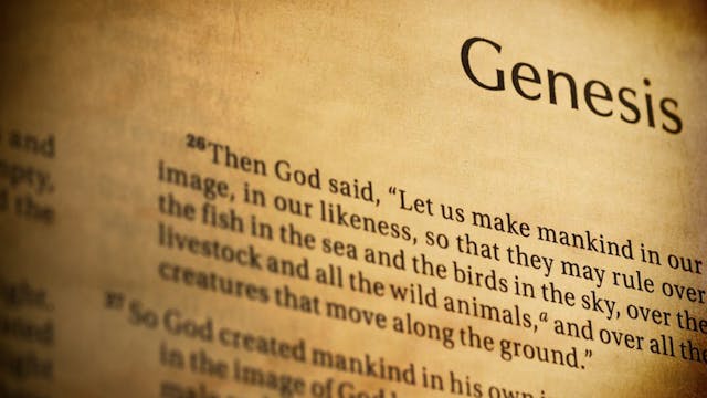 bible-365-1-image