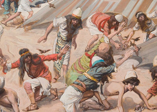 Parashat Beha'alotcha: Hark What Heroism Can Follow Parashat Beha'alotcha: Hark What Heroism Can Follow image