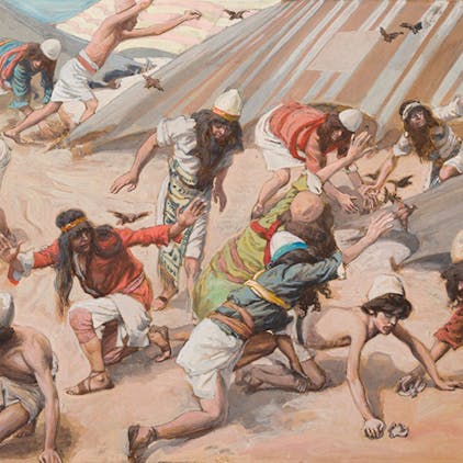 Parashat Beha'alotcha: Hark What Heroism Can Follow image