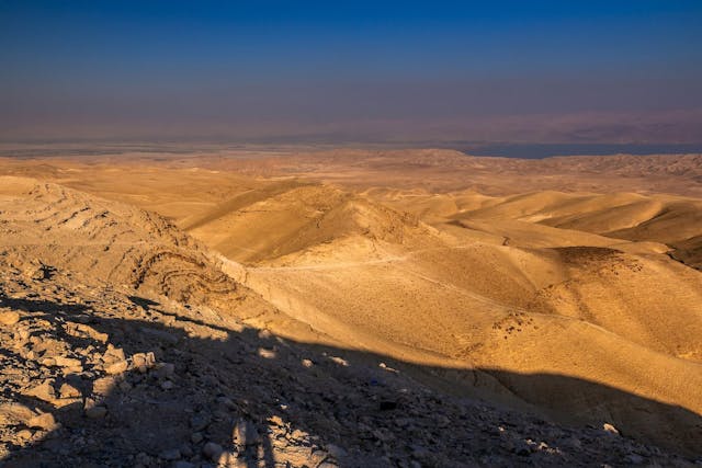 shutterstock_1385732063