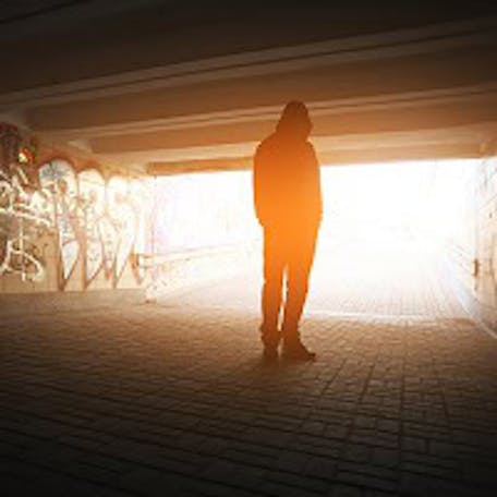 shutterstock_262222313