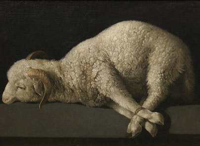 The Politics of the Paschal Lamb