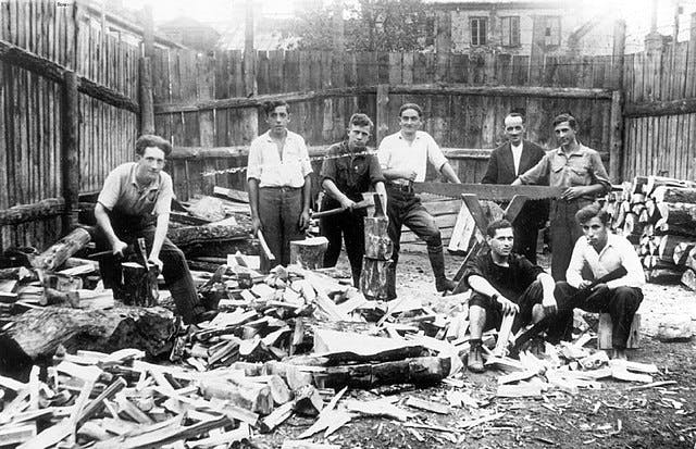 Zionist pioneers