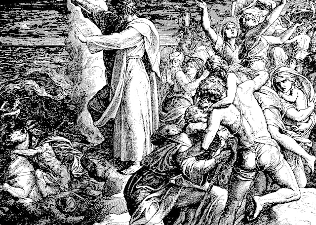 Miriam’s Song Cropped