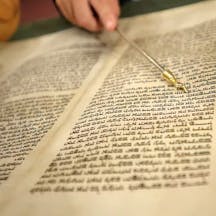 The Pillars Episode 11 The Pillars Episode 11