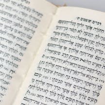 The Pillars Episode 12 The Pillars Episode 12