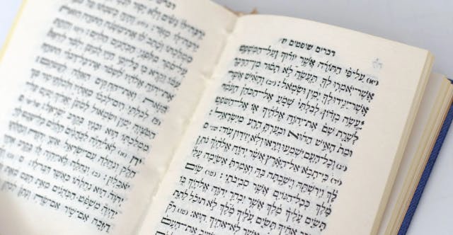 The Pillars Episode 12