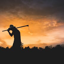 Worker in Field