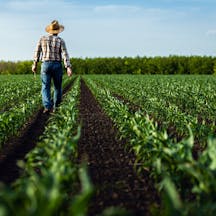 Worker in Field