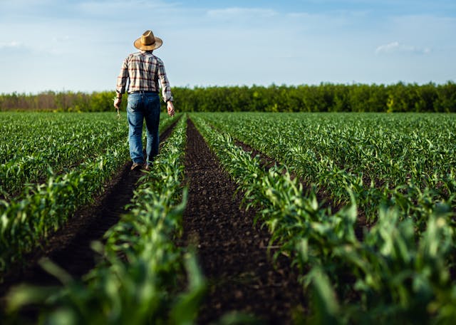 Worker in Field