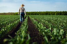 Worker in Field
